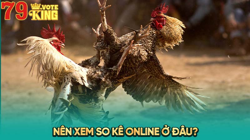 Nên xem so kê online ở đâu?