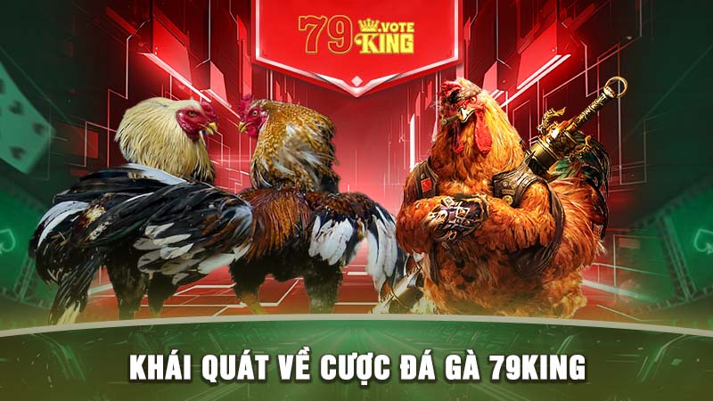 Khái quát về cược Đá Gà 79KING