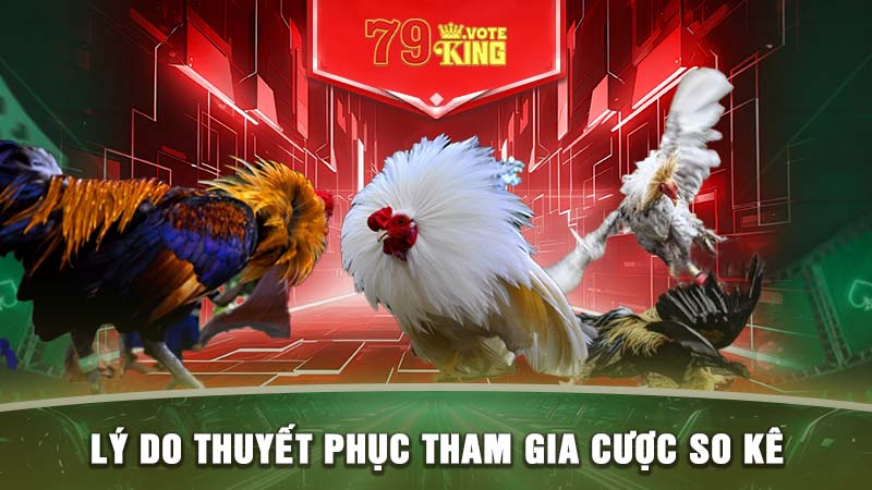 Lý do thuyết phục tham gia cược so kê